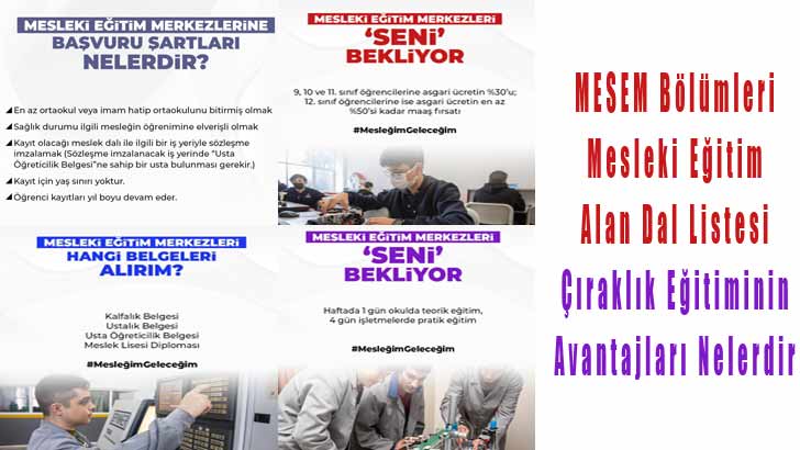 MESEM Bölümleri Mesleki Eğitim Alan Dal Listesi